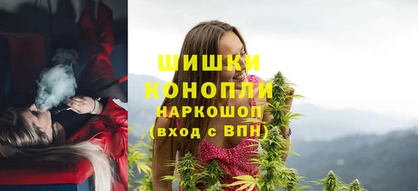 apvp Гусиноозёрск