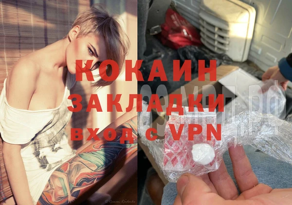 ешки Аркадак