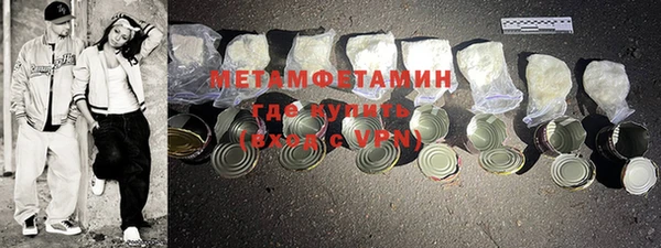 индика Гусь-Хрустальный