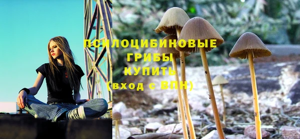 mdpv Балахна